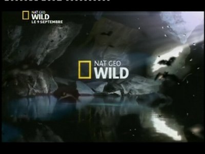 Nat Geo Wild France